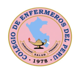 colegio_enfermeros_logo_300x300_superres.jpg